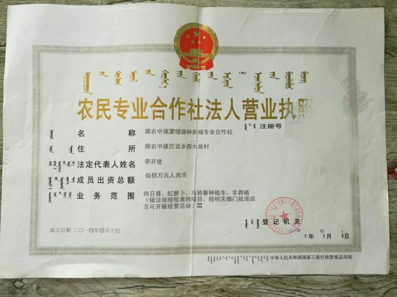 葵花籽