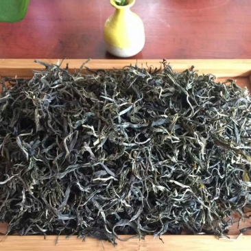 古树普洱茶特级