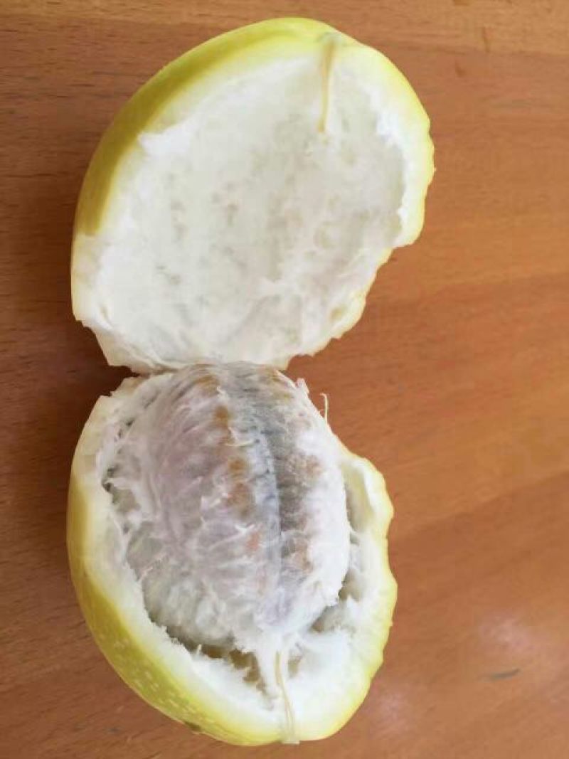 百香果黄果60~70g