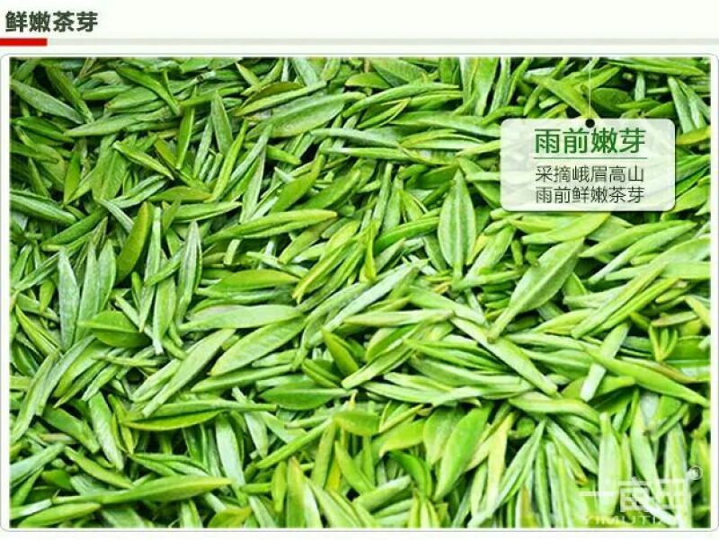 观音茶特级