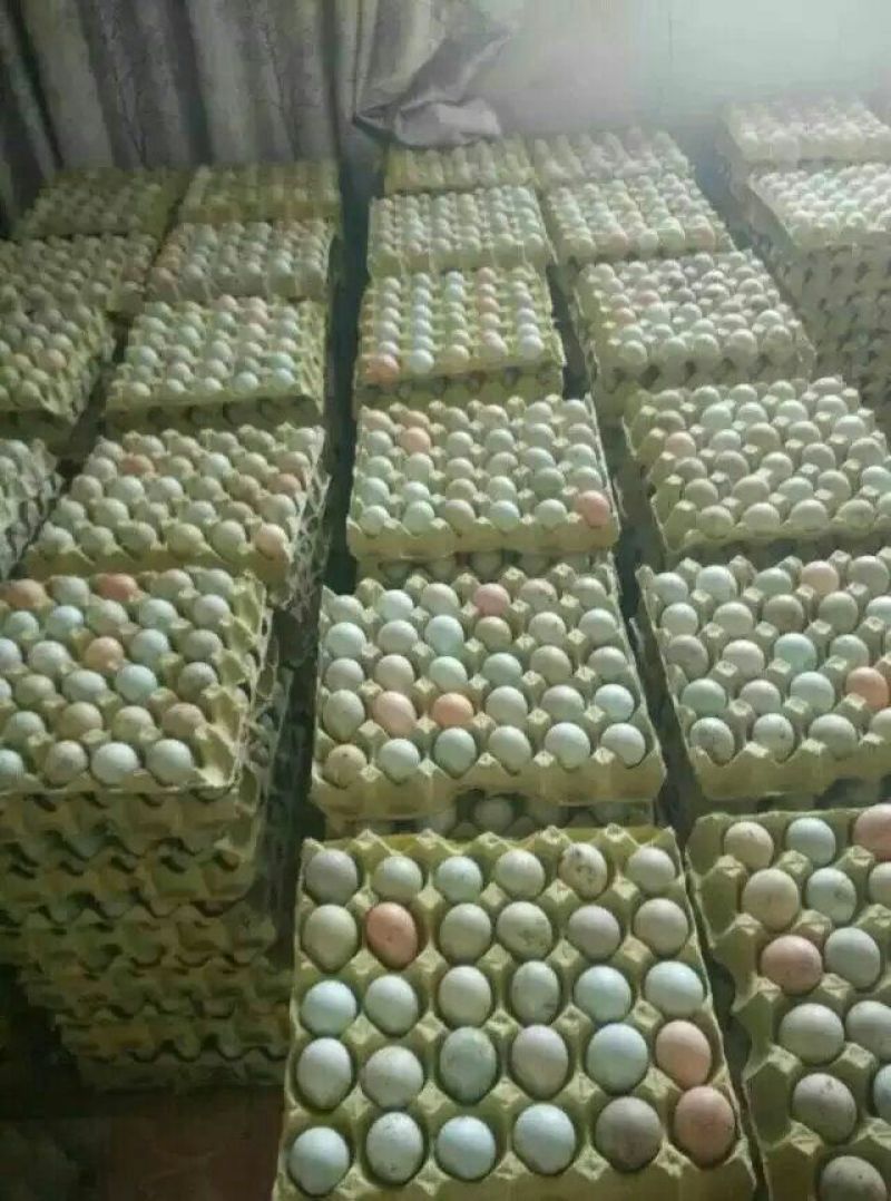 土鸡蛋食用50g以下