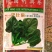 黑叶菠菜20~25厘米