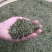 石阡苔茶特级