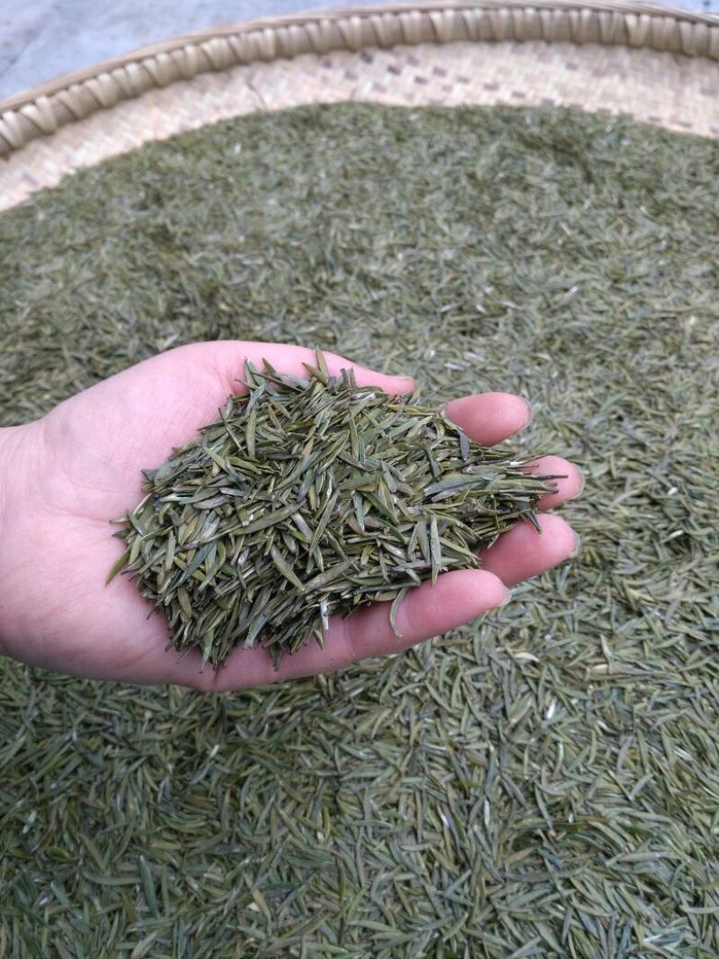石阡苔茶特级