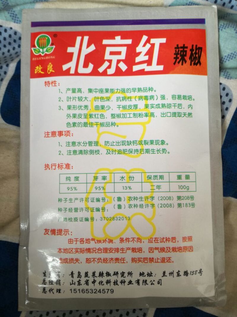 辣椒种子95%以上