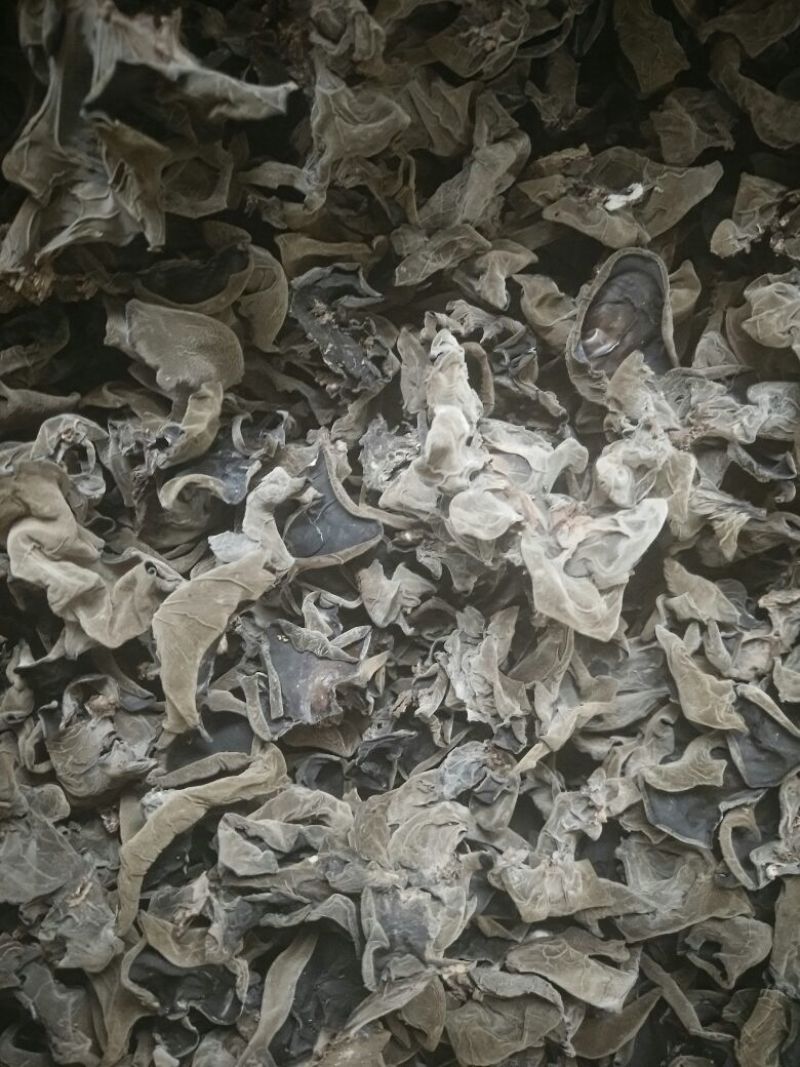 干木耳特级