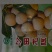 沙田镇储良龙眼果园精品粒粒超25mm