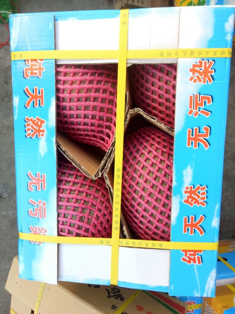 哈密瓜3斤以上椭圆形