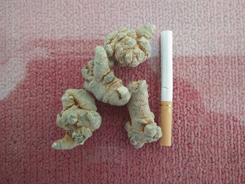 三七80头统货
