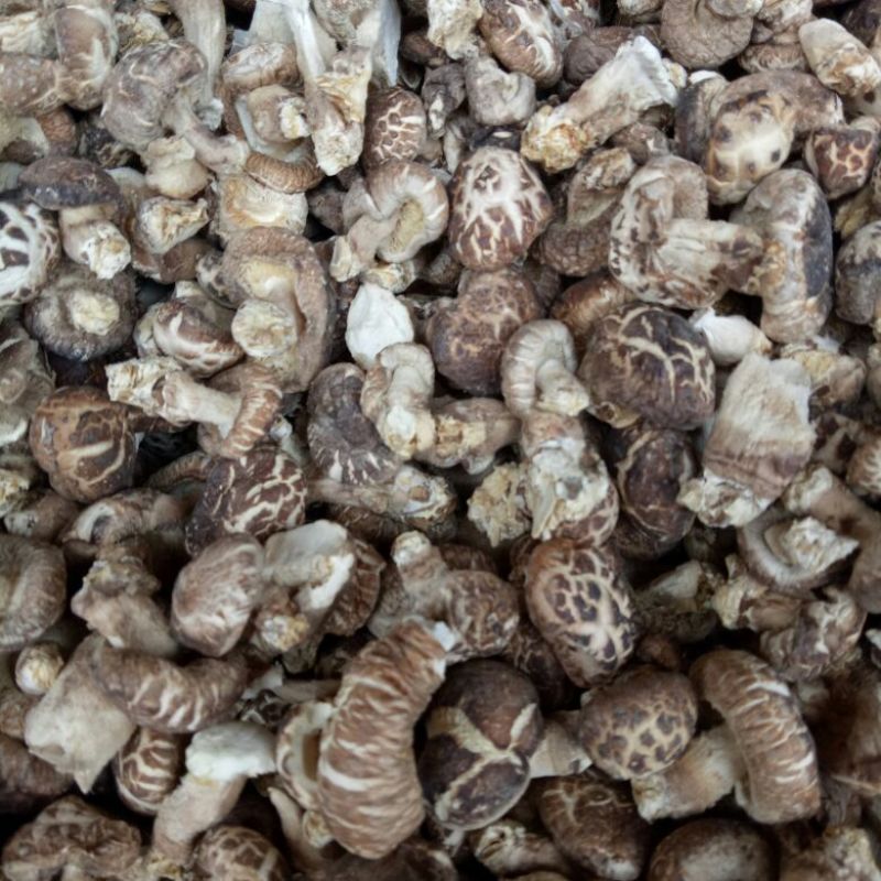花菇3cm以下