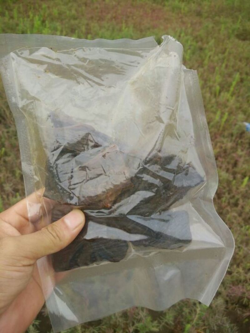 牛肉干牦牛肉鲜肉