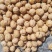 新疆185核桃25mm以上去皮干，阿克苏纸皮核桃