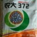 玉米种子