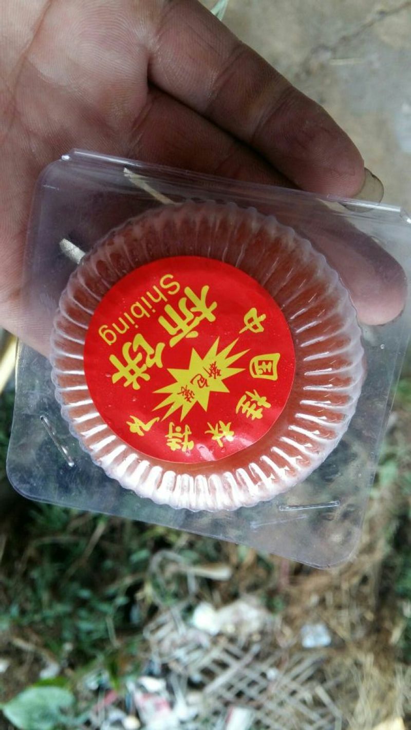 柿饼1~2两