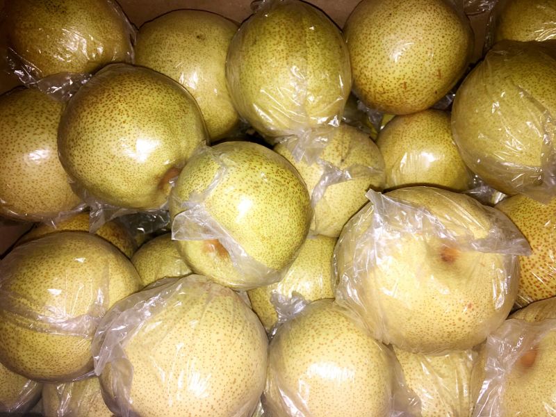 砀山梨250~300g膜袋