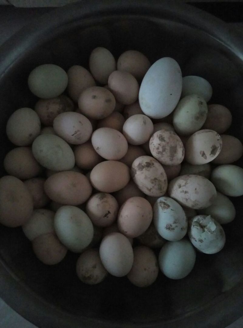 土鸡蛋食用50g以下