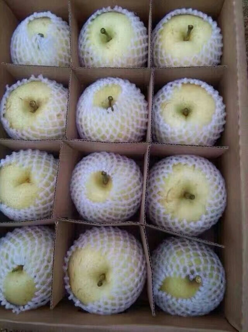 黄金梨300~350g纸箱