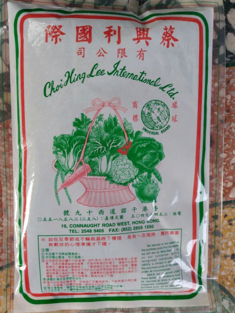 黑叶菠菜20~25厘米