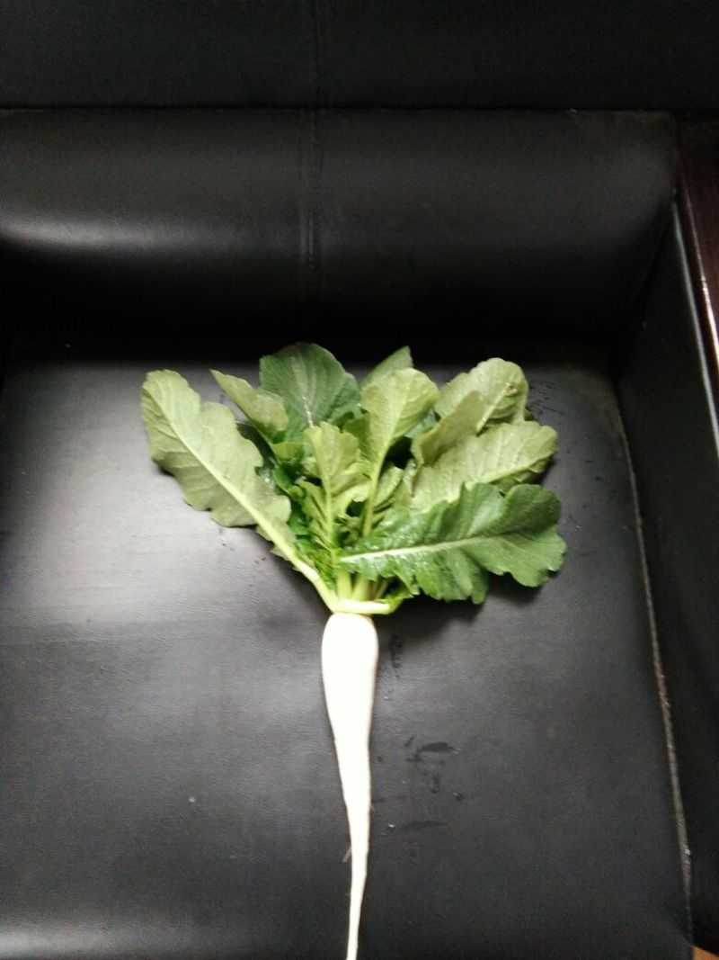 白萝卜1.5~2斤起