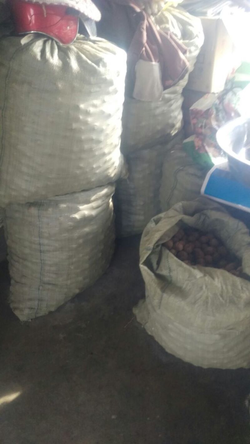 薄皮核桃40mm以上去皮干
