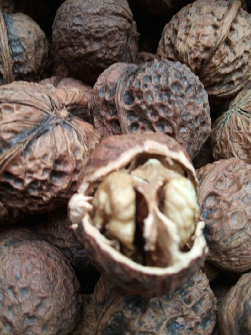 核桃去皮干