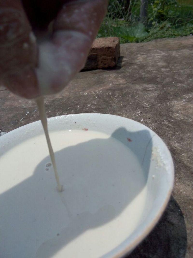 红薯淀粉