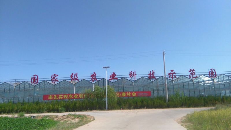 甘蓝1~2公斤