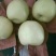 梨300~350g纸箱