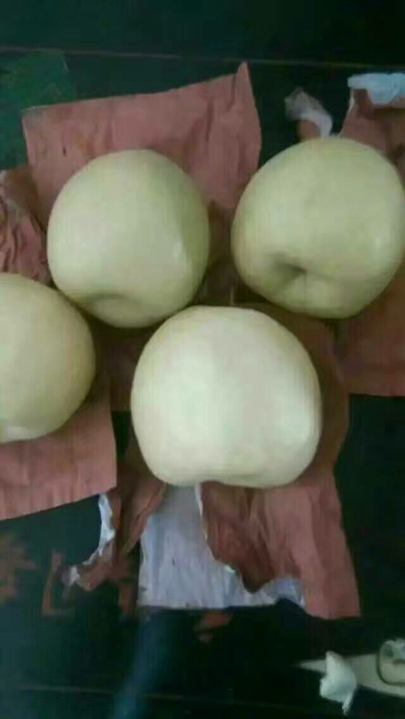 梨300~350g纸箱
