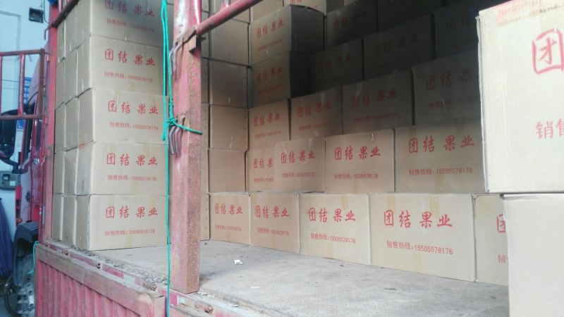 砀山梨250~300g纸箱
