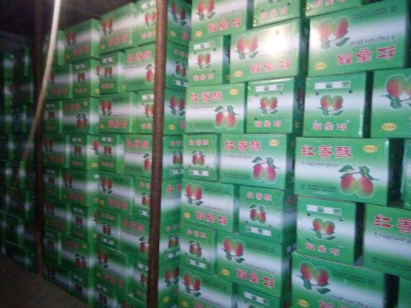 红香酥梨150~200g膜袋