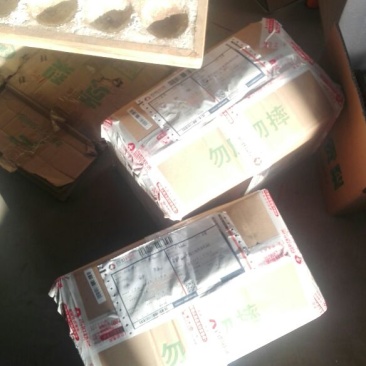 酥梨300~350g纸箱