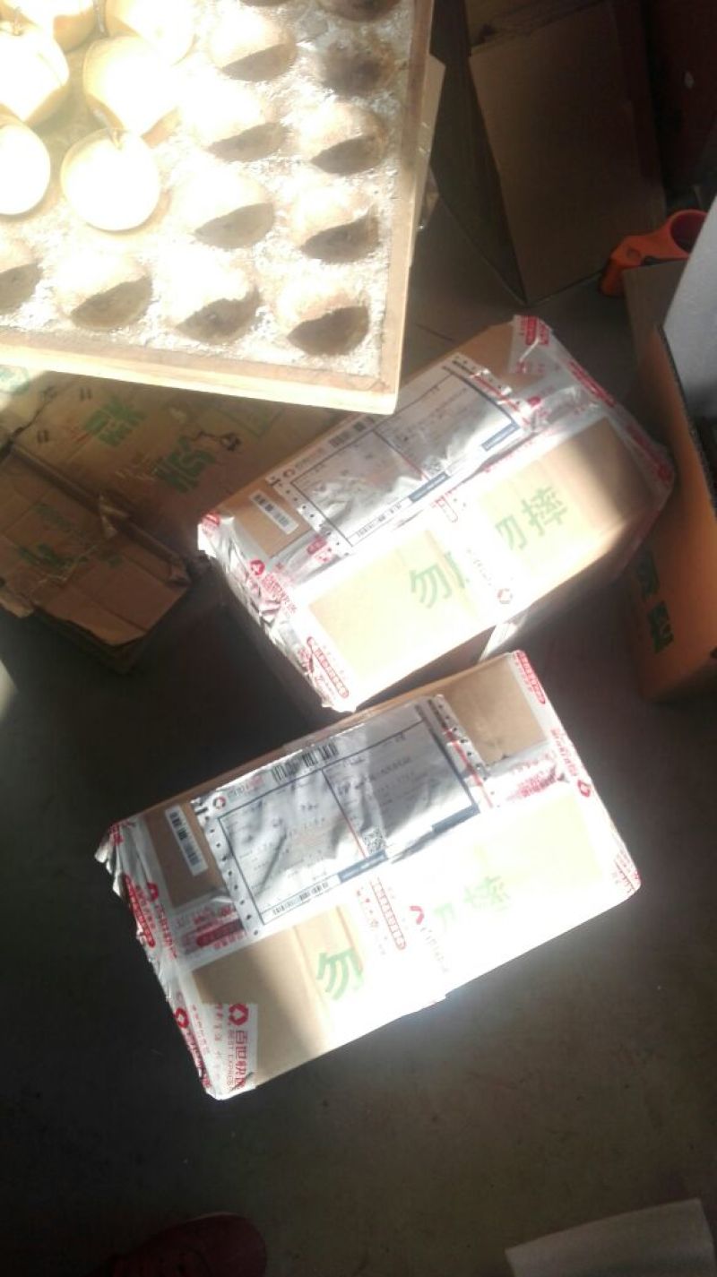酥梨300~350g纸箱