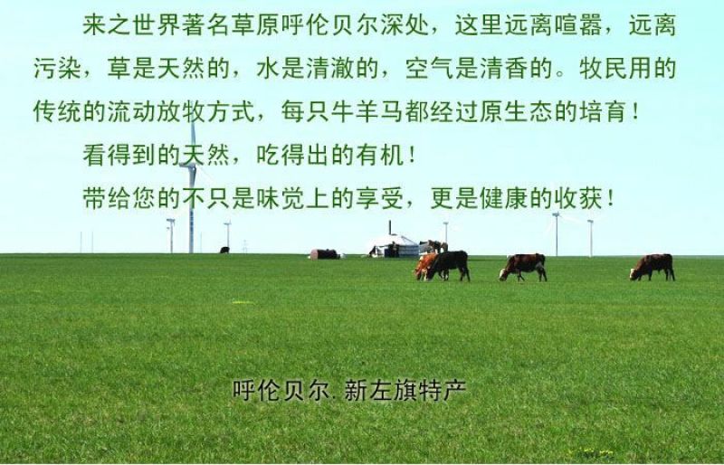 牛肉干黄牛肉鲜肉