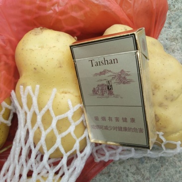 荷兰十五土豆