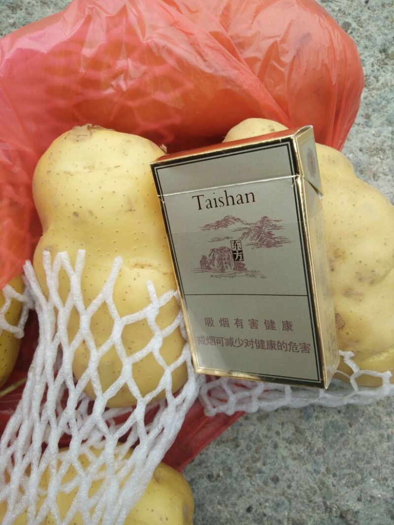 荷兰十五土豆