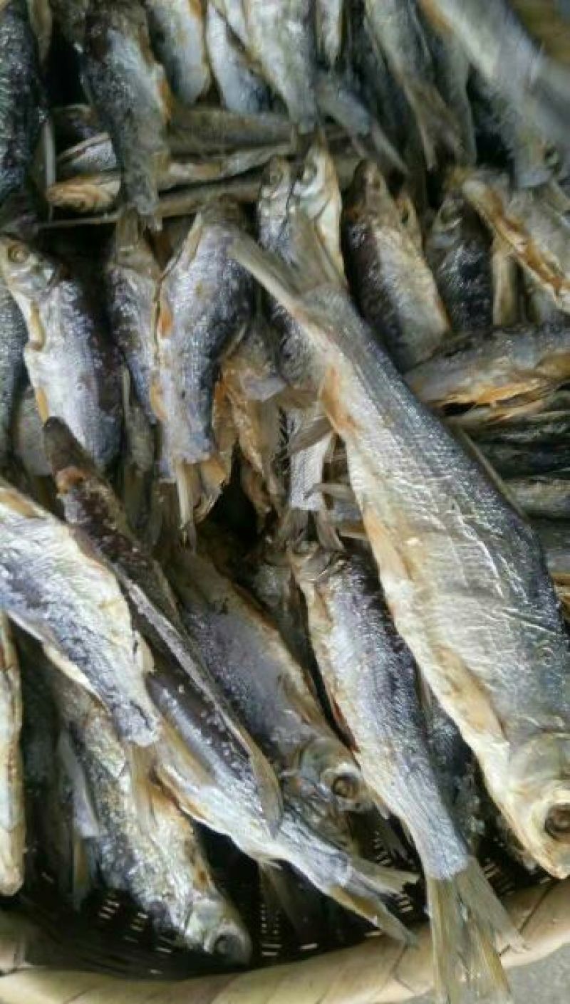 东江湖翘嘴白供应