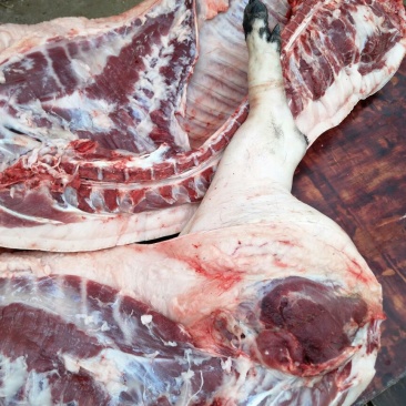 黑猪肉食用后腿肉未加工
