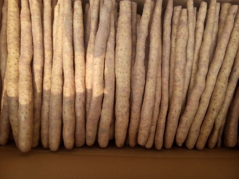 小白嘴白山药2~3厘米20~25厘米