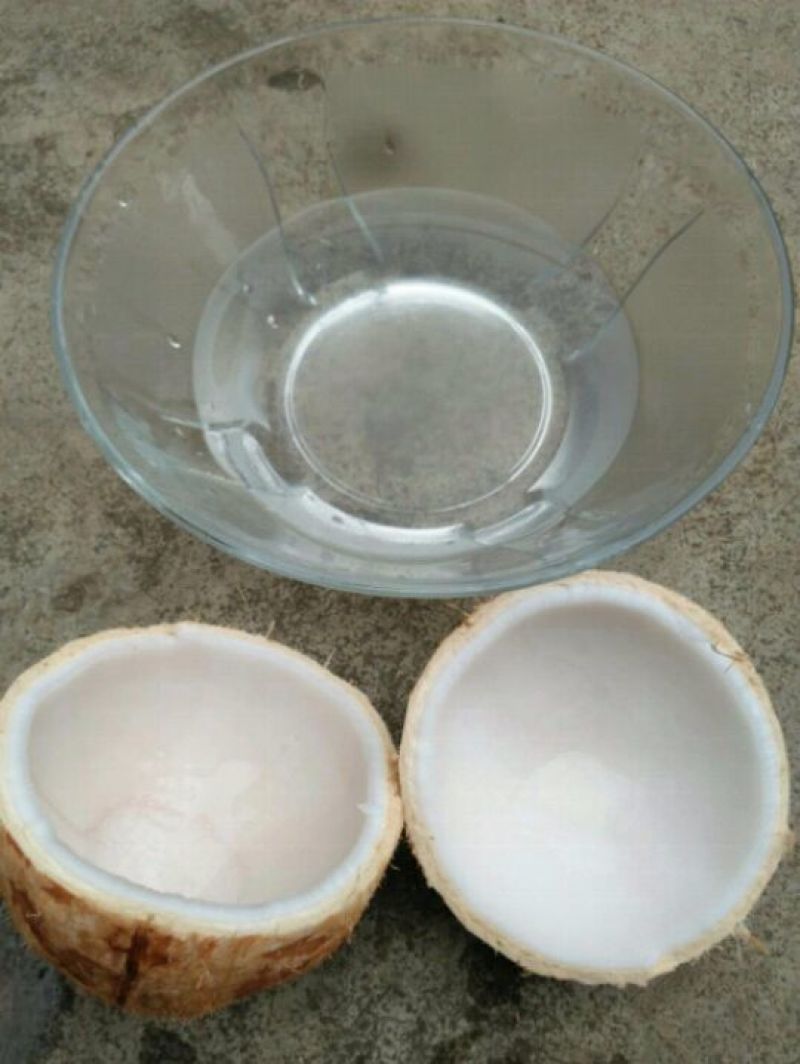 海南当季椰子椰青新鲜水果现摘现发批发产地直发