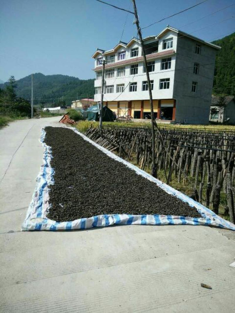 干木耳特级