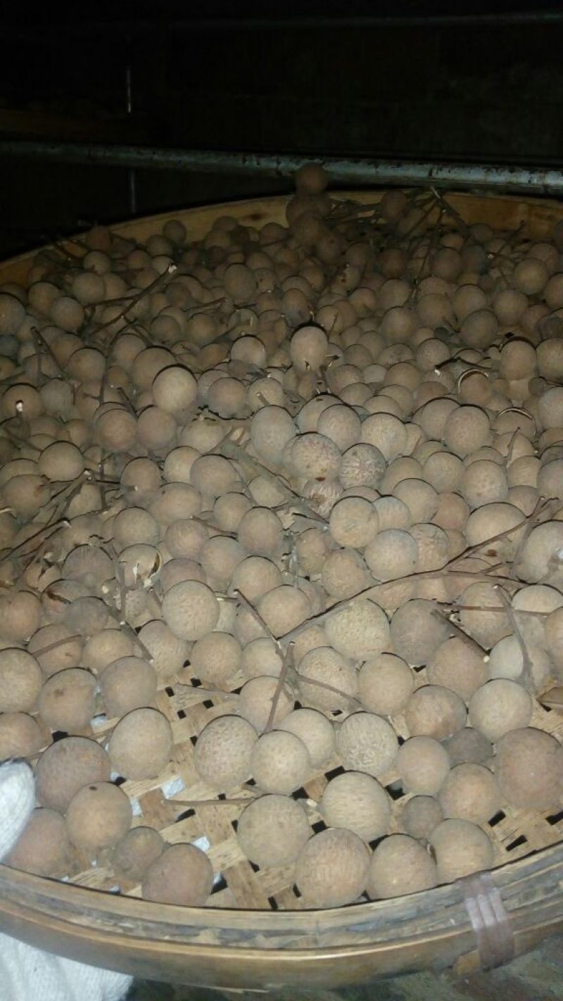 桂圆散装