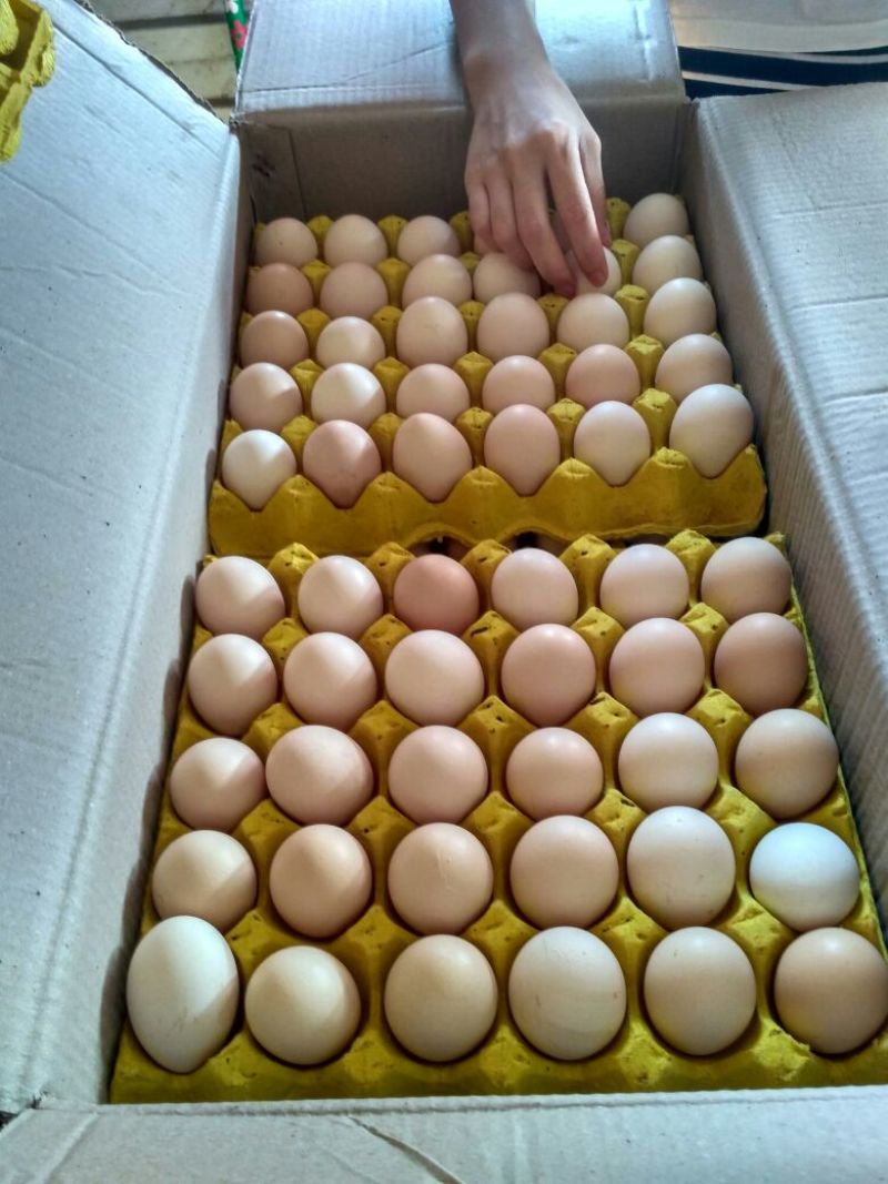 普通鸡蛋食用50g以下