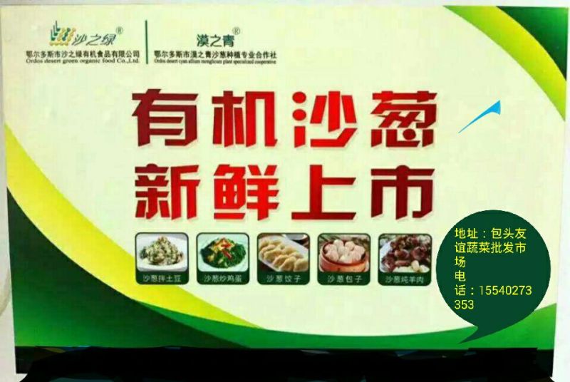 沙葱15~20c