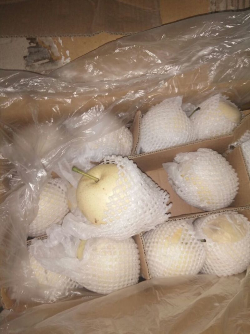 水晶梨300~350g纸箱