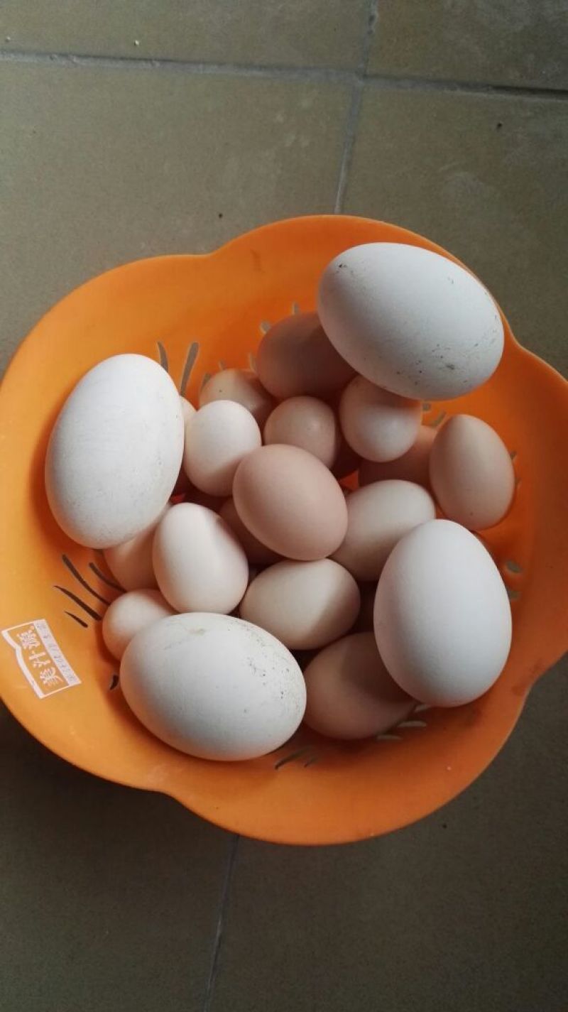 土鸡蛋食用50g以下