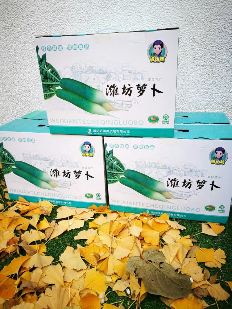 潍县青萝卜1~1.5斤起