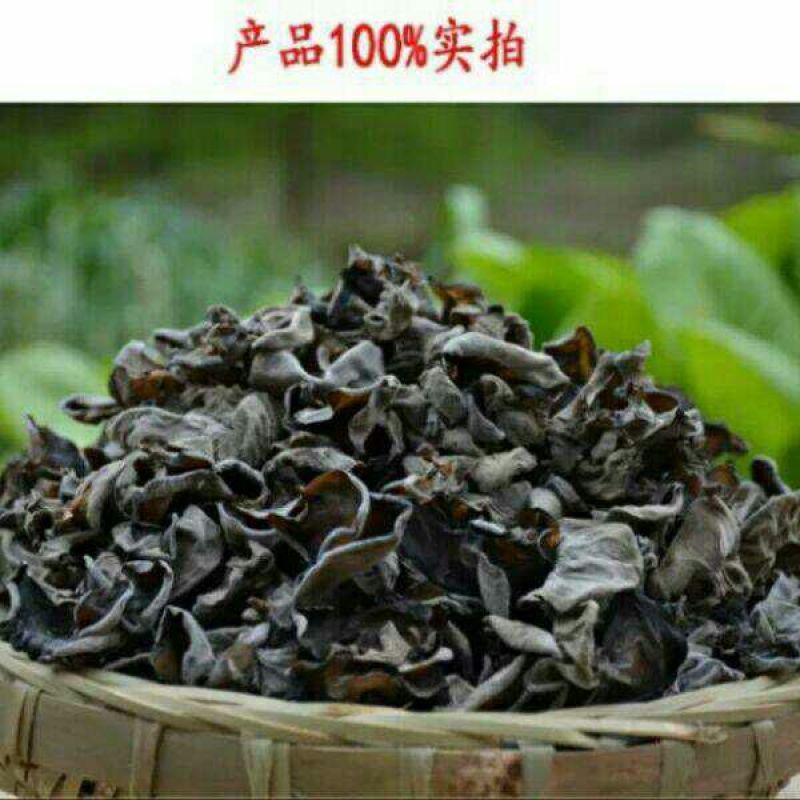 秋耳特级