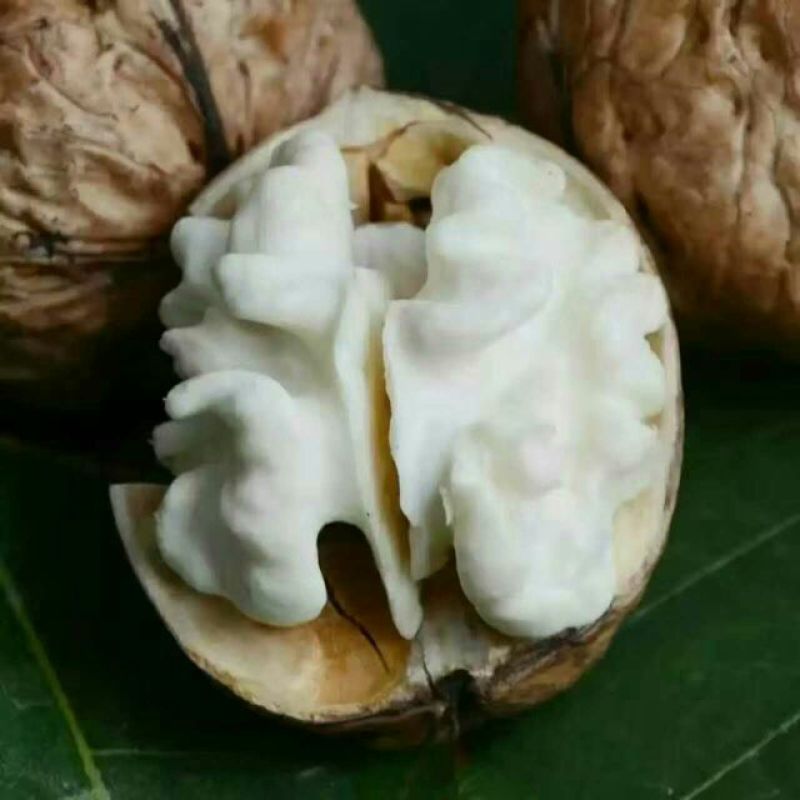 薄皮核桃30mm以上去皮
