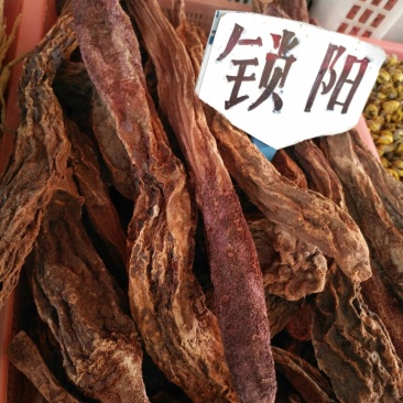 锁阳